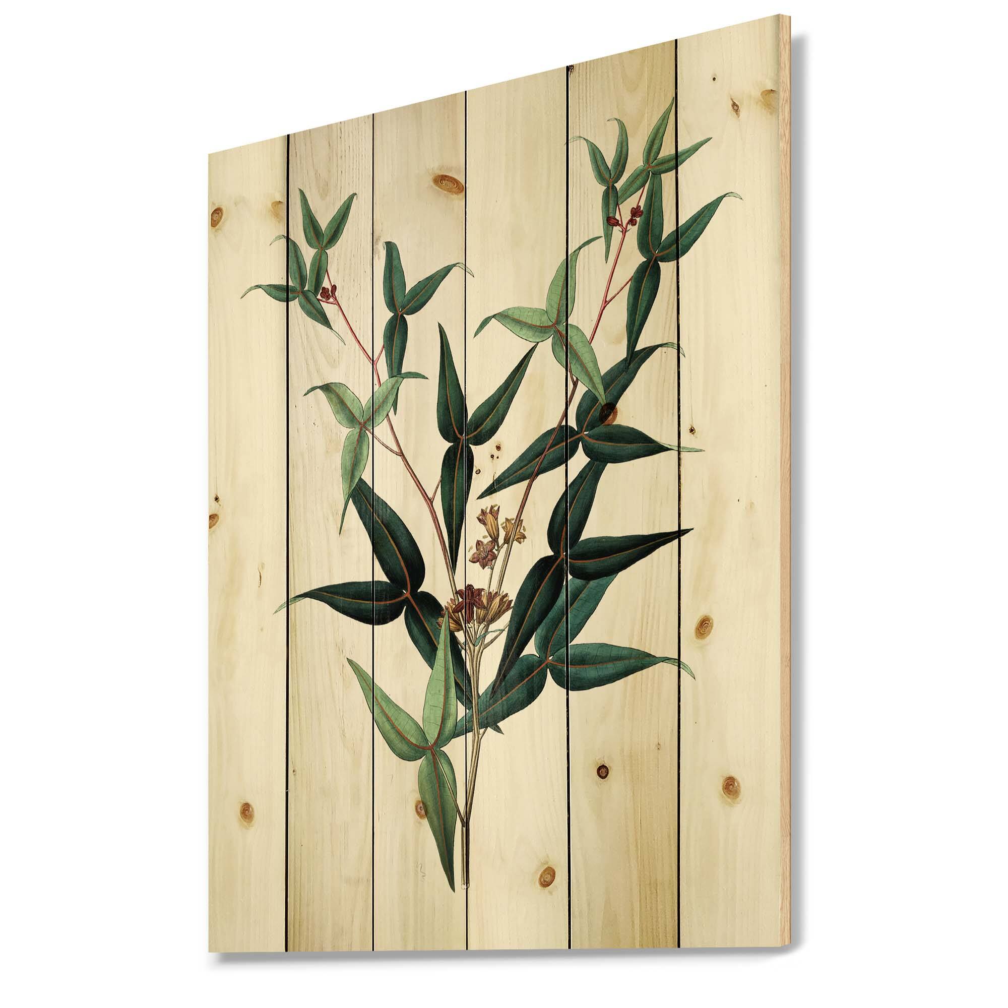 Designart - Vintage Green Leaves Plants VIII
